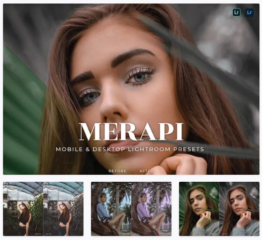 [Elements.Envato] Merapi Mobile and Desktop Lightr_0.jpg